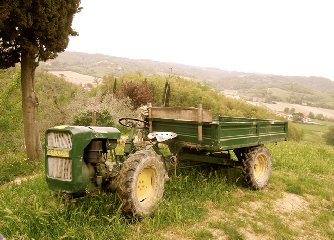 Italian Tractor