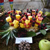 Fruit Display